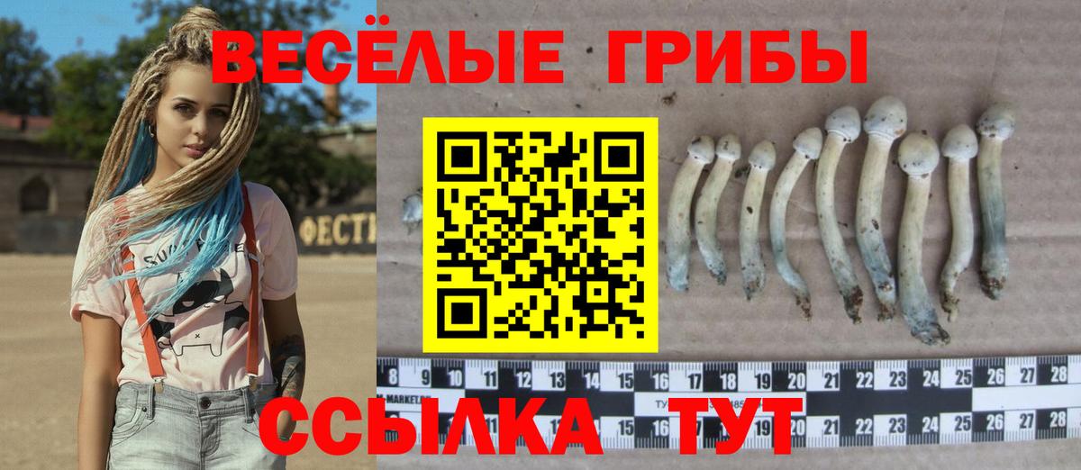 Псилоцибиновые грибы прущие грибы Кинешма