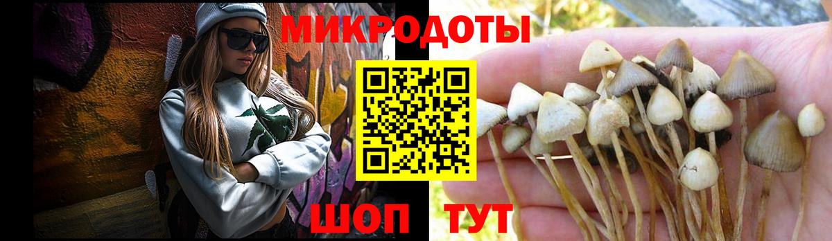 Галлюциногенные грибы мицелий  Вход с VPN  Кинешма 